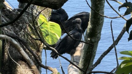 Tag 4 und 5 – Rio de Janeiro